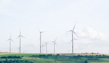 Najbardziej ekologiczne polskie miasta wybrane! Ranking Forbes 20